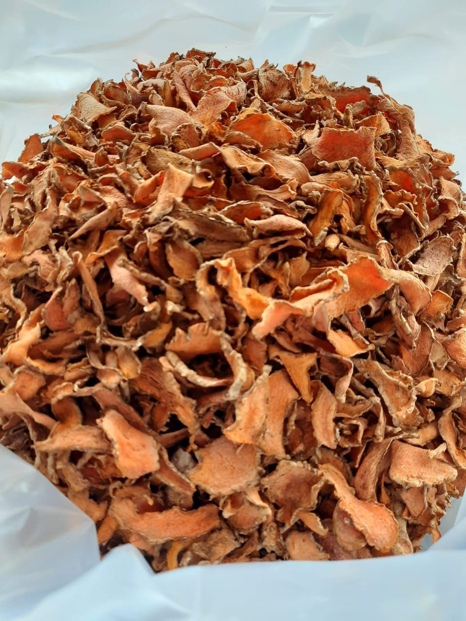 TURMERIC ( Curcuma longa )