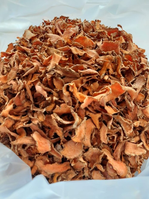 TURMERIC ( Curcuma longa )
