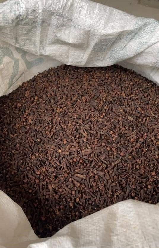 CLOVES (Syzygium aromaticum)