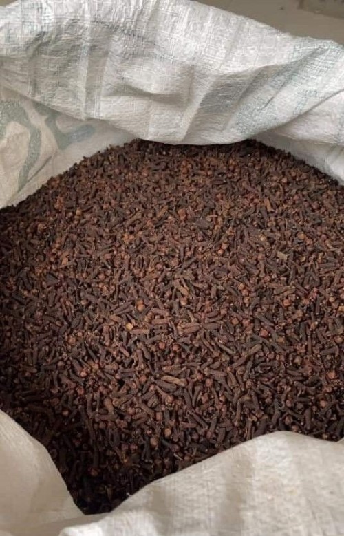 CLOVES (Syzygium aromaticum)