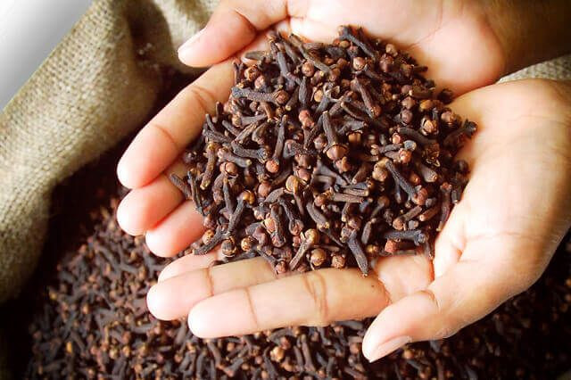 CLOVES (Syzygium aromaticum)