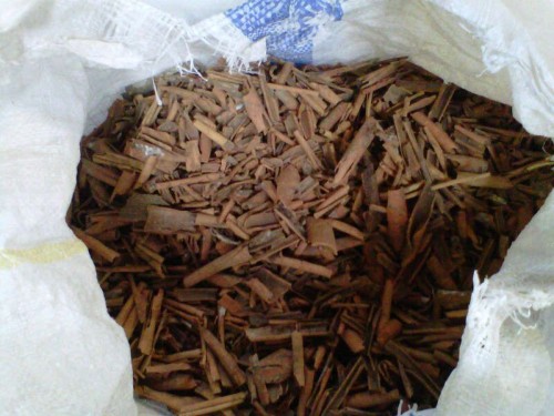 CINNAMON BROKEN (Cinnamomun Zeylanicum Blume)
