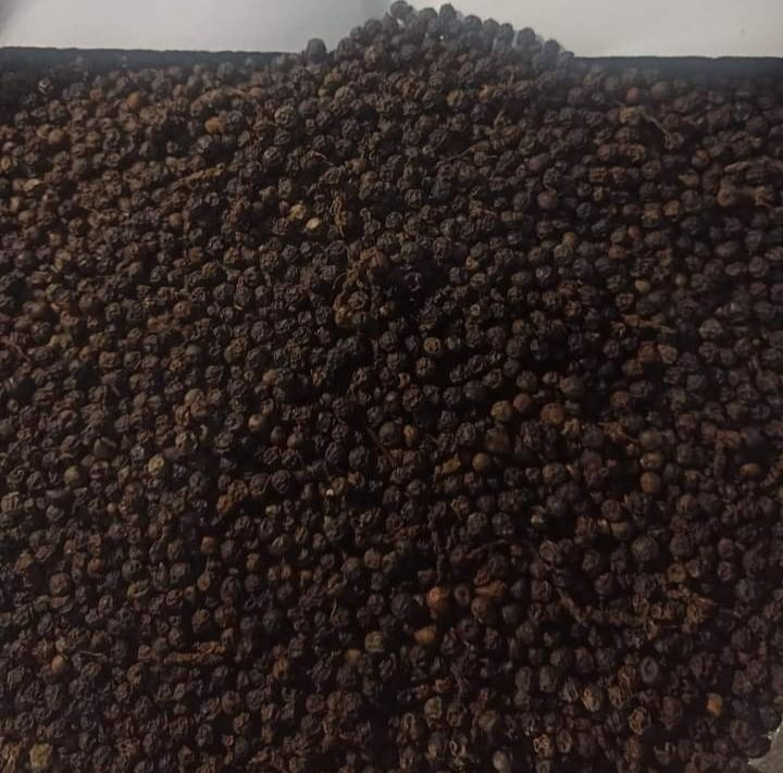 BLACK PEPPER (Piper nigrum)