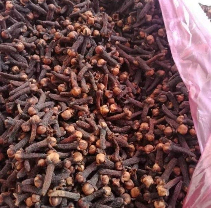 CLOVES (Syzygium aromaticum)