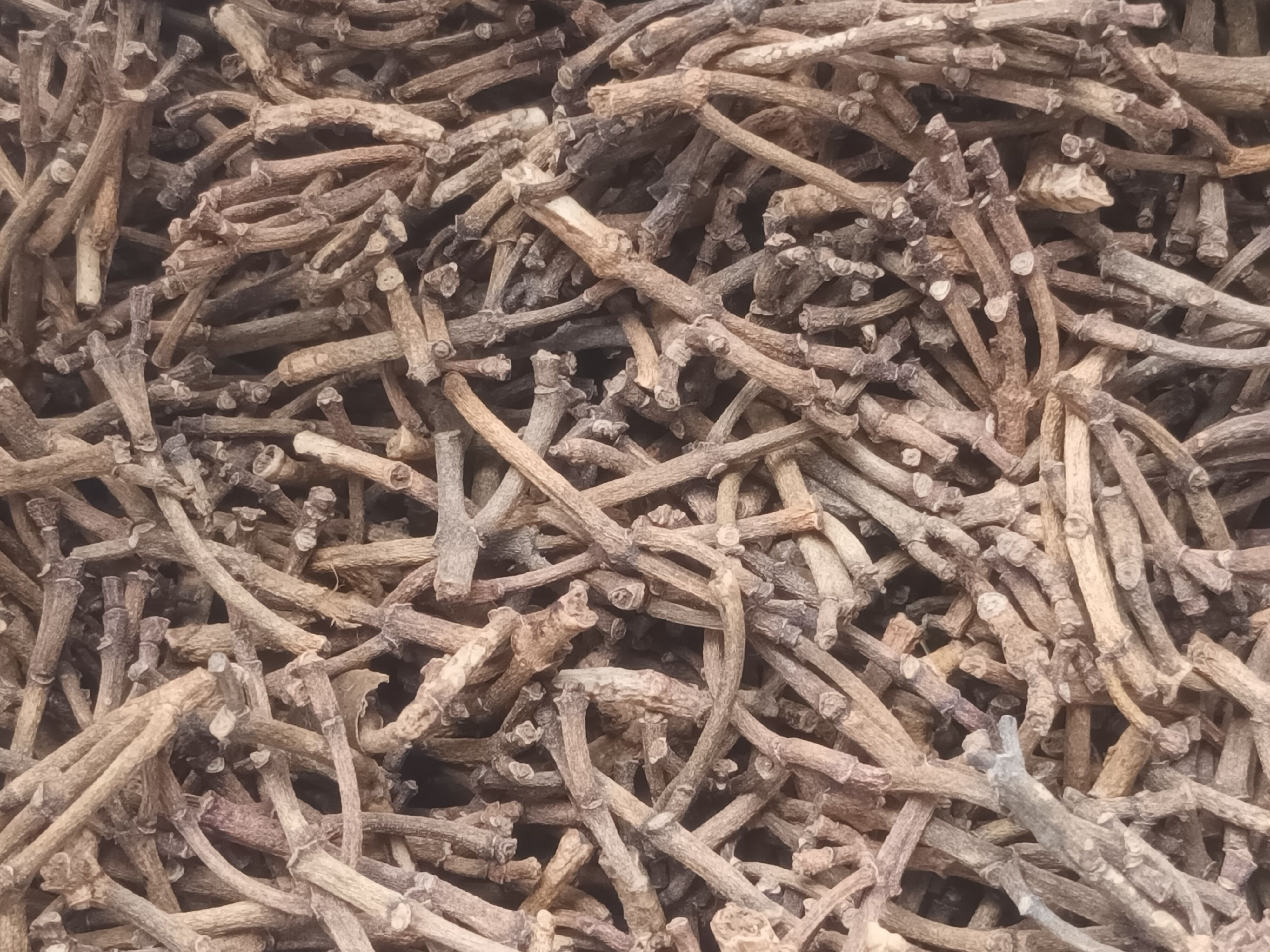 CLOVE STEMS (Syzygium aromaticum pedicellus )