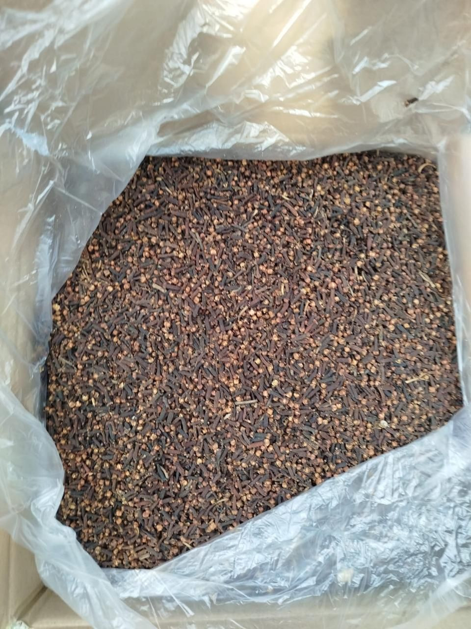 CLOVES (Syzygium aromaticum)
