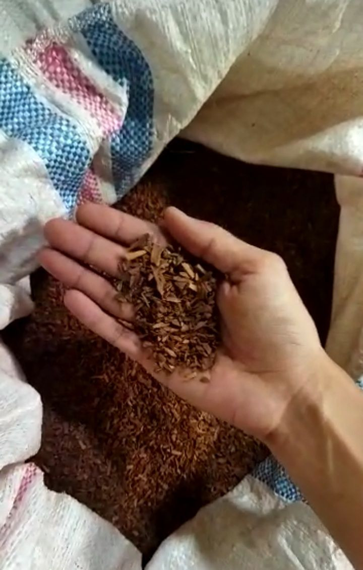 CINNAMON BROKEN (Cinnamomun Zeylanicum Blume)
