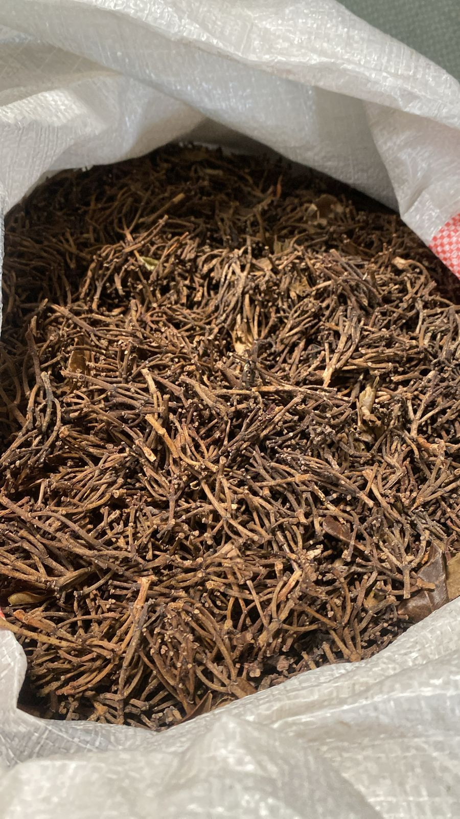CLOVE STEMS (Syzygium aromaticum pedicellus )