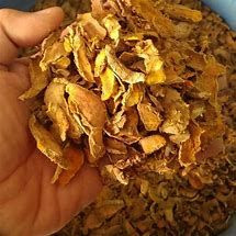 TURMERIC ( Curcuma longa )